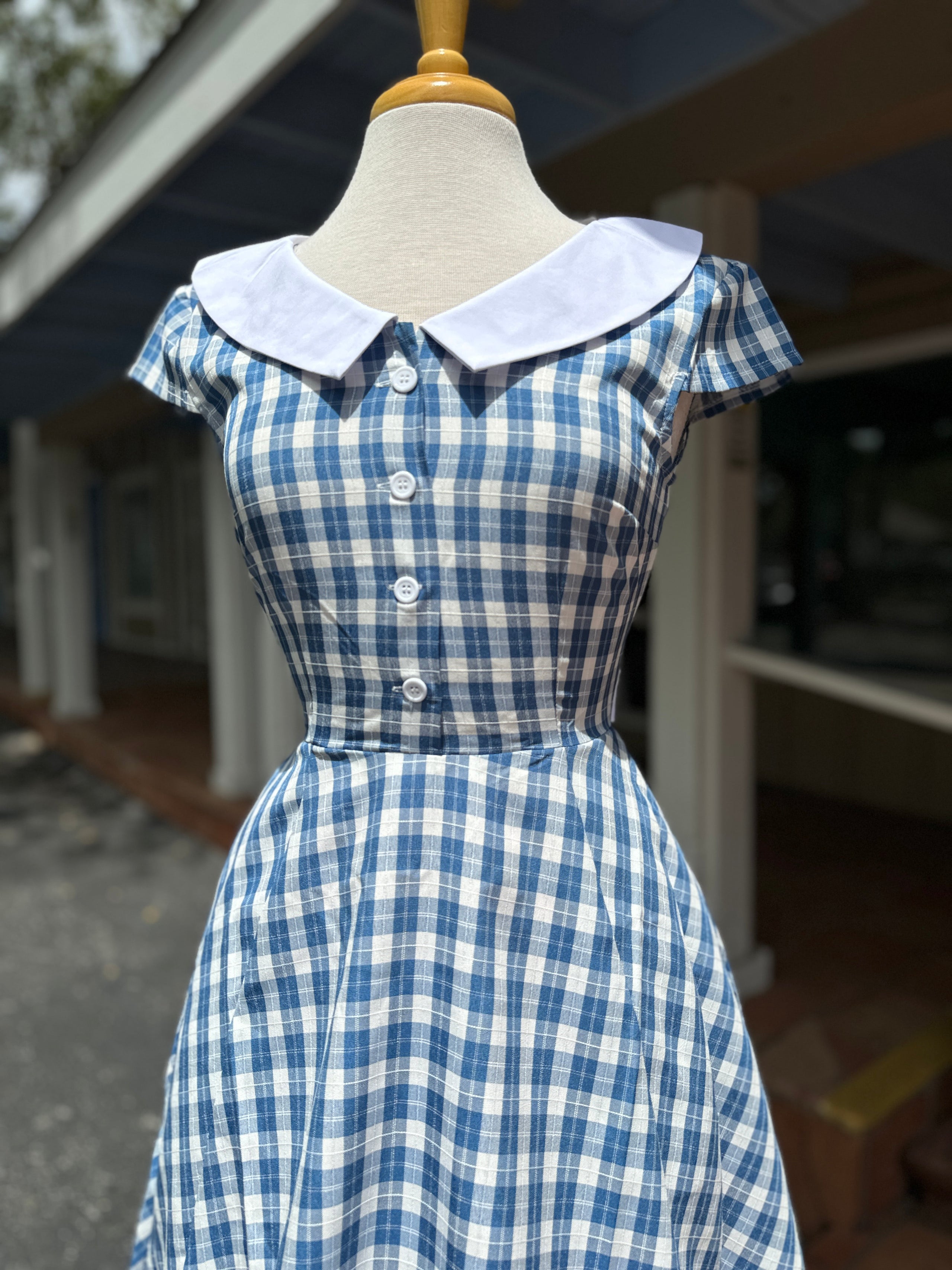 Blue Gingham Swing Dress